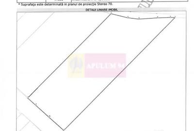 Teren de 131935 mp, în Est - 7