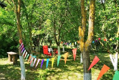 Teren de 4000 mp, în Ileana - 6