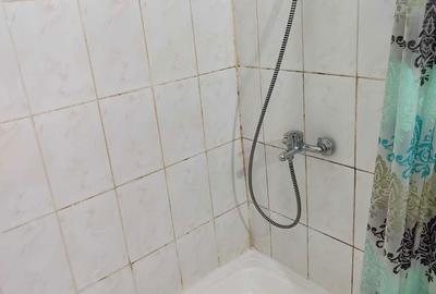 Garsonieră nedecomandată în Iosia - 7