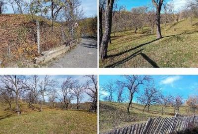 Teren cota parte 1/2, Sat Vistieru, ID: R2809860 - 2