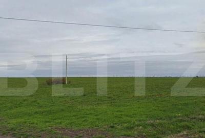 Teren extravilan 16000 mp, deschidere dubla 41 m, zona Leamn - 2