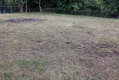 Casă cu Teren 1100 Mp în Ulmetu - 2