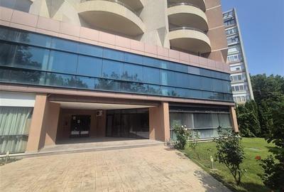 Vanzare Spatiu comercial stradal - Parter si Mezanin - 900 mp - 20