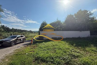 Casa noua de vanzare in Bacau Lilieci - 18