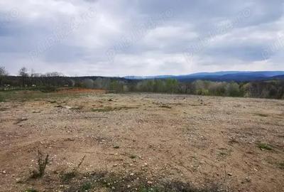 Teren investitie dezvoltator imobiliar km 7 Calea Caransebesului 11 euro negociabil - 8