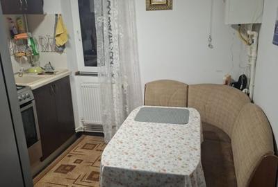 Apartament cu 2 camere semidecomandat, mobilat în Podu Roș - 6