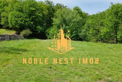 Teren extravilan 2200 mp - Budeasa Mica, Arge?, COMISIO... - 1