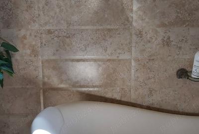 Vand vila, Baneasa, Vatra Noua, Sise?ti, sector 1 - 9