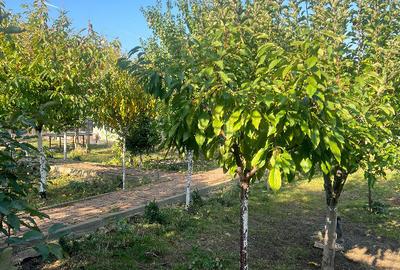 Casă cu 6 camere cu Canalizare în B-dul București - 1