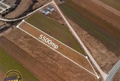 Teren de 5500 mp, în Tărlungeni - 6