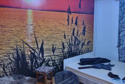 Apartament 4 camere zona Dristor ,Cazare salariatii!! - 1