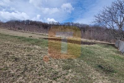 Teren intravilan de vânzare , 3600 mp – Piatra Neamț, zona Balaur - 11