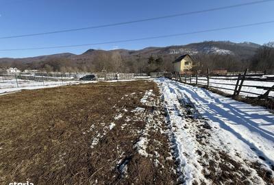 Spațiu comercial, în Secăria - 5