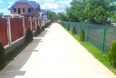 Palatul din Dobreni-5 Camere-La Bulevard-Teren 800mp-Apa Curenta-Comuna Dobreni - 18