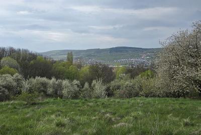 Teren de 3347 mp, în Florești