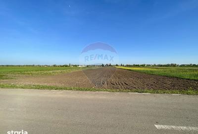 Teren de 6220 mp, în Târgșoru Vechi - 1