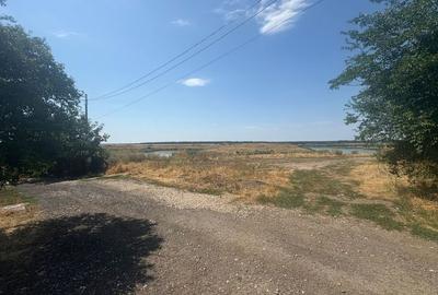 Teren 1.289 mp, deschidere 24 m, vedere la lac - Brănești, Ilfov - 4