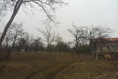 Spațiu comercial, în Fedeleșoiu - 4