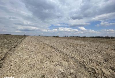 Teren de 2300 mp, în Central - 6