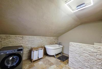 Vila, Cerneteaz, Teren Generos, Casa de Oaspeti, Beci, Garaj - 19