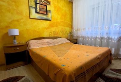 Apartament de inchiriat, zona Lapus - langa Electroputere Mall - 2