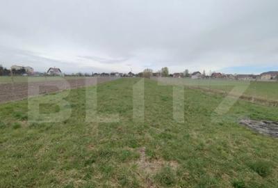 Casă cu 4 camere cu Teren 2500 Mp în Central - 2