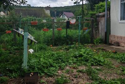 Casa individuala cu 3 camere,CODLEA - DUMBRAVITA ,65000 euro - 6