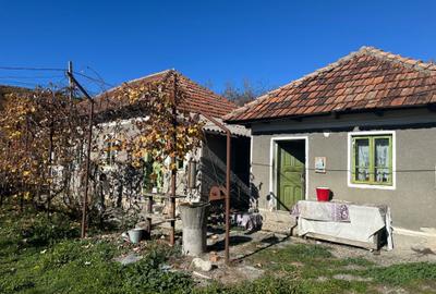 Casă cu 4 camere în Cotmeana - 4