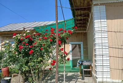 Casă cu 6 camere cu Teren 1094 Mp în Huși - 3