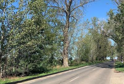 Teren Construcții intravilan de 10000 mp, în Afumați - 4