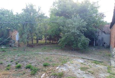 Casă individuală cu 7 camere cu Teren 842 Mp în Naidăș - 21