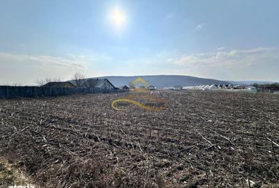 Spațiu comercial, în Hemeiuș - 6