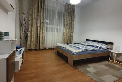 Garsonieră decomandată în Turnișor - 4