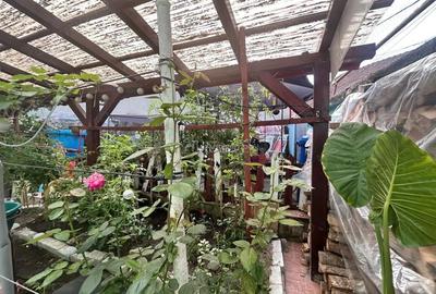 Bocsa Montana Casa 4 camere Bocsa Montana Casa 4 camere - 19