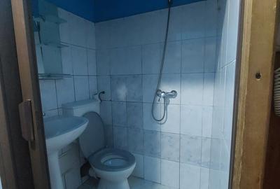 Vand garsojiera direct de la proprietar in zona Blascovici - 5