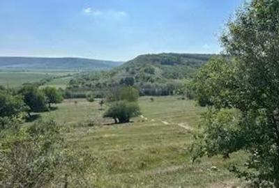 Teren de 3300 mp, în Central - 4