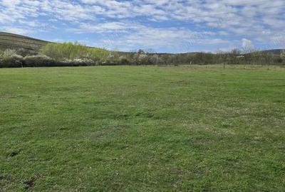 Teren de 703 mp, în Central - 5