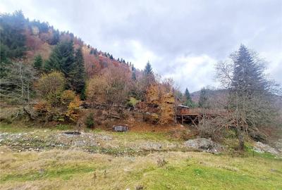 Teren de 4591 mp, în Zărnești - 9