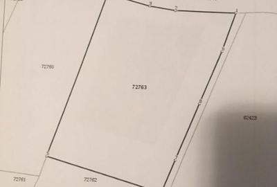 Teren de 5250 mp, în Pădureni (Chinteni) - 3