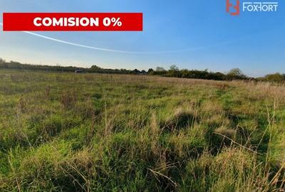 Comision 0% Teren intravilan de 3346 mp cu 2 fronturi - Jebel - 4