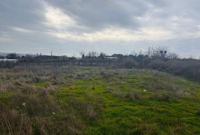 Spațiu comercial, în Fetești - 3