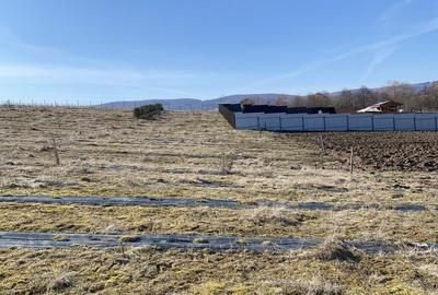 Spațiu comercial, în Central - 3