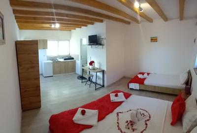 Vila cu piscina +Vila turistica profitabila la mare - 15
