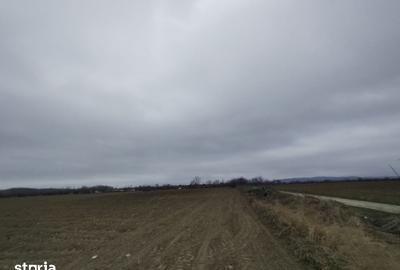 Teren de 15000 mp, în Gura Ocniței - 5