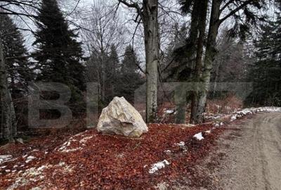 Teren unic, exclusivist 4000 mp, in inima muntilor, Sinaia - 4
