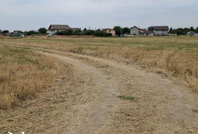 Teren de 1600 mp, în Cernica - 2