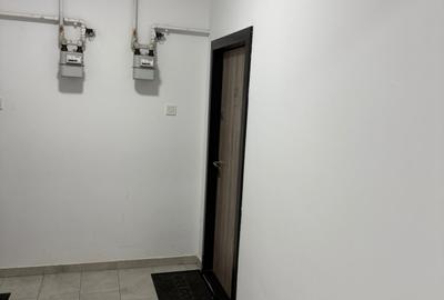 Vanzare Apartament 2 camere Bloc Nou Drumul Taberei Cartierul Brancusi - 17