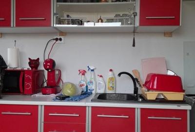 Casa P+M, Bascov, constructie 2016, teren 490mp - 4