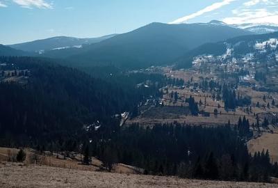 Teren de 1000 mp, în Arieșeni - 1