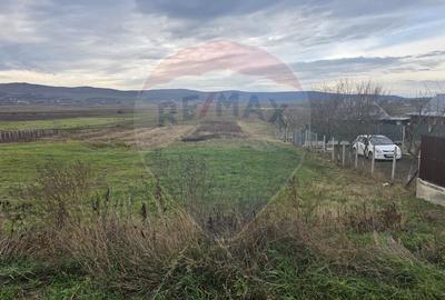 Teren intravilan si extravilan 8,282mp oras Negresti, judetul Vaslui - 5